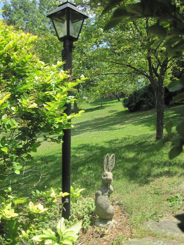 67-Left side yard.jpg